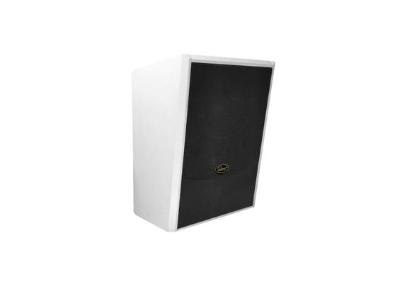 IP网络有源音箱 T-7601B